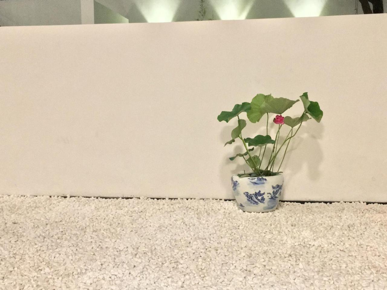Hidden Garden International Youth Hostel -Near Oriental Pearl &Lujiazui -Garden Social Area -Bar -Cafe -Free Laundry Luggage Storage -24H Front Desk -English Service Shanghai Buitenkant foto